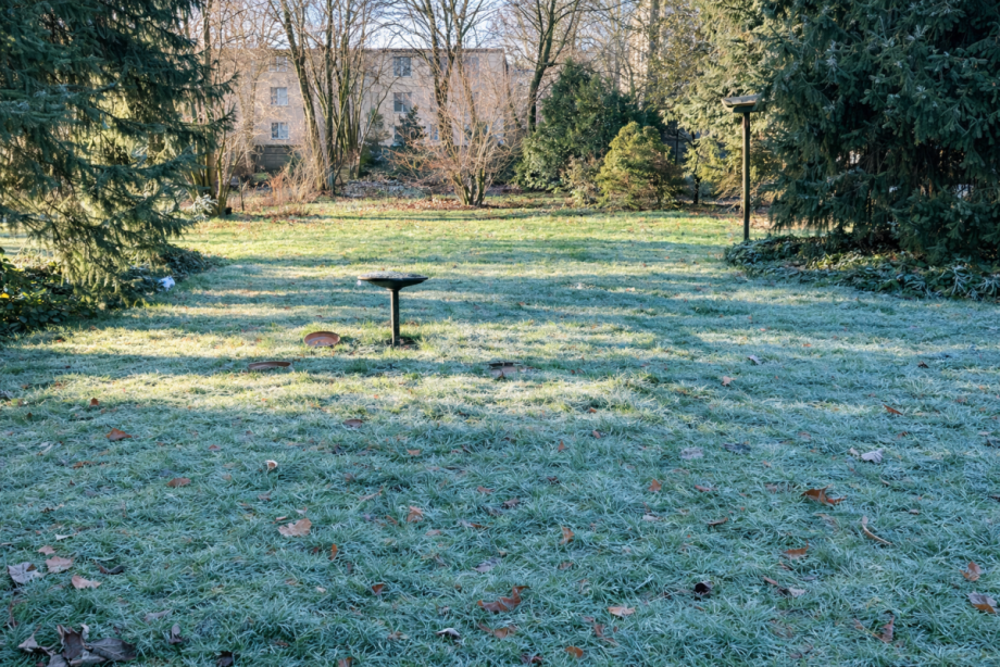 Garten Doppelhaush�lfte Gelsenkirchen