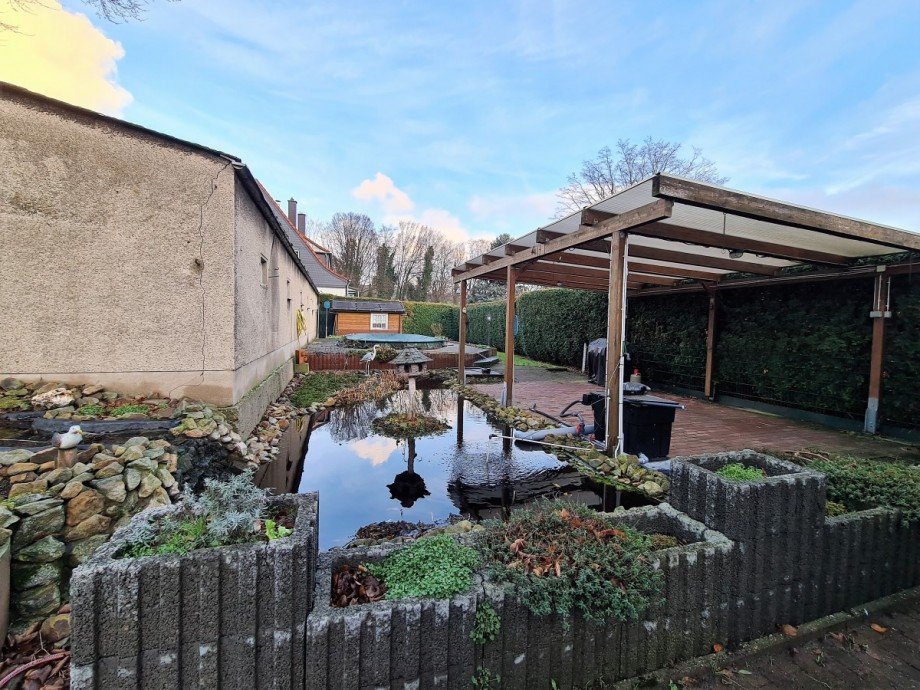 Teich Doppelhaush�lfte Gelsenkirchen