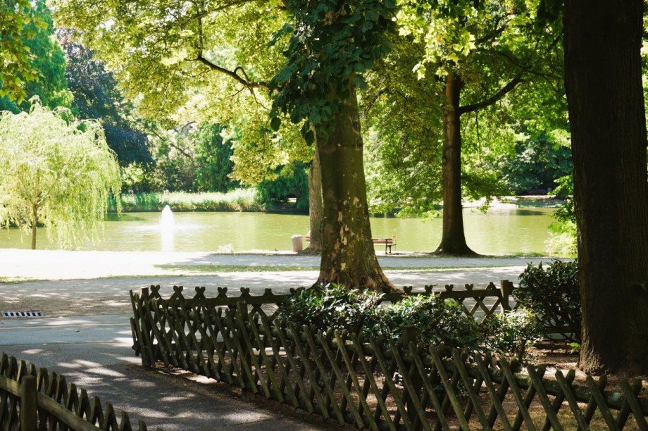 Ausgang zum Park Etagenwohnung Gelsenkirchen