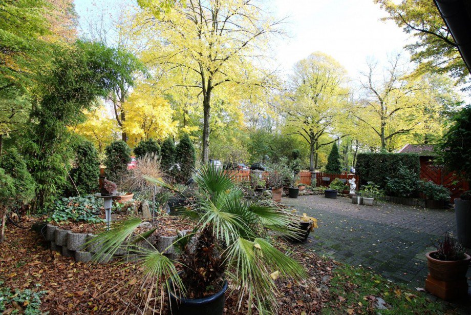 Vorgarten Einfamilienhaus Gelsenkirchen