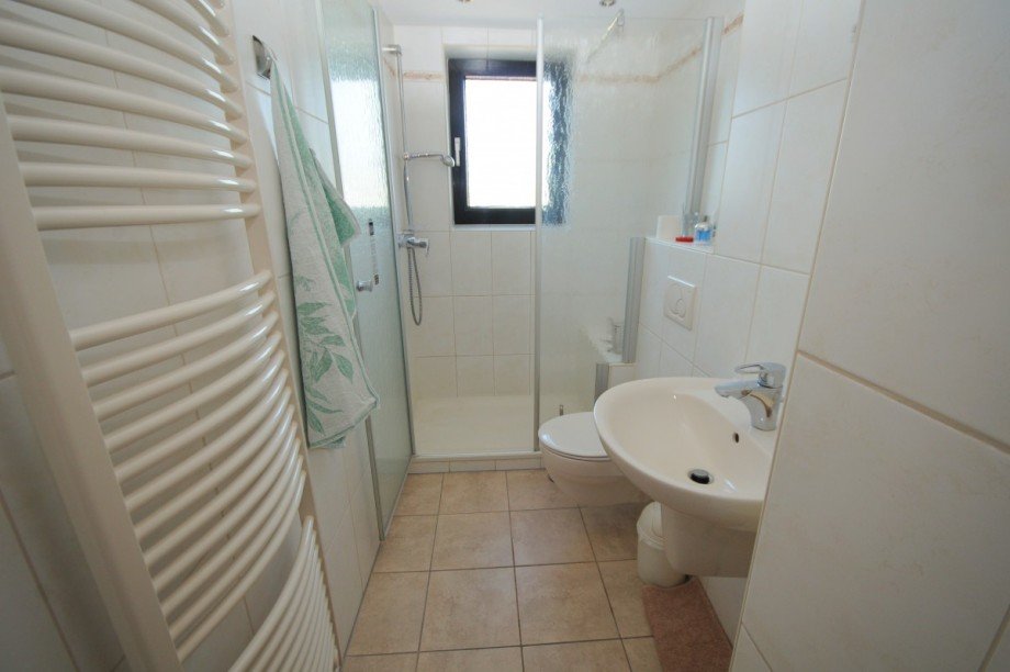 Tageslichtbad mit Dusche Reihenmittelhaus Gelsenkirchen