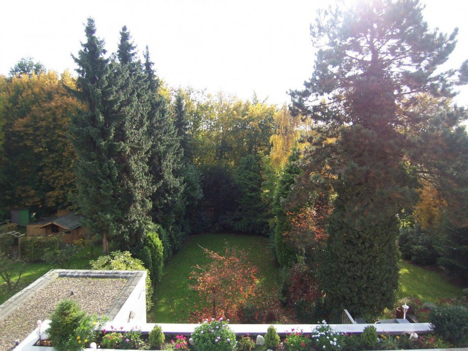 Garten Dachgeschosswohnung Gelsenkirchen