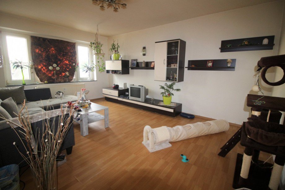 Wohnzimmer Etagenwohnung Gelsenkirchen