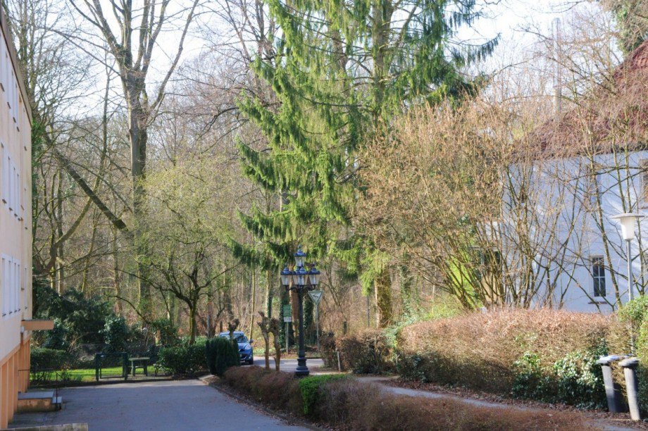 Vor dem Haus Etagenwohnung Gelsenkirchen