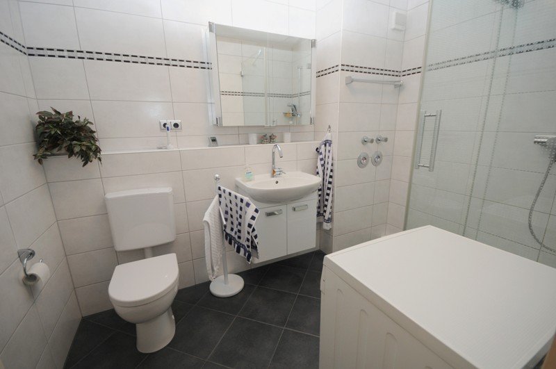 Bad mit Dusche Erdgeschosswohnung Gelsenkirchen