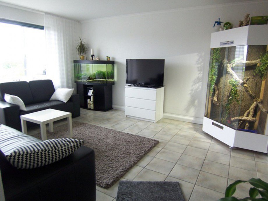 Wohnzimmer Etagenwohnung Gelsenkirchen